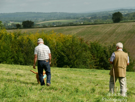 Arun & Downland Gundog Society Competitive Training Day