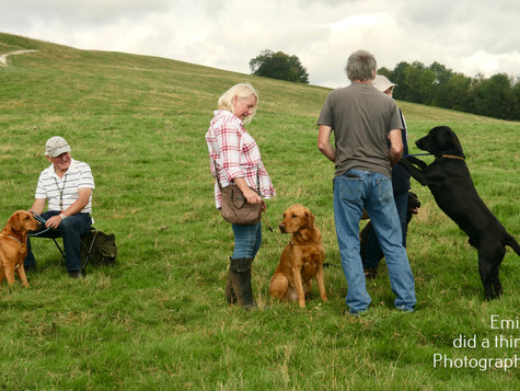 Arun & Downland Gundog Society Competitive Training Day