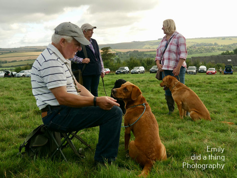 Arun & Downland Gundog Society Competitive Training Day