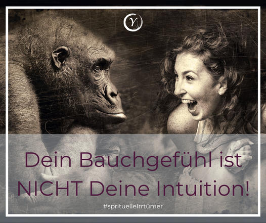 🤯Deine Intuition ist Dein Bauchgefühl!? - NEIN! content media