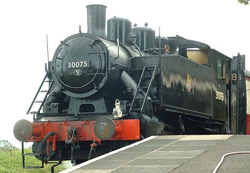 30075.jpg