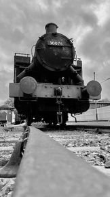 IMG_0181.jpeg