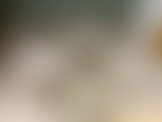 洋室に畳を敷きつめました