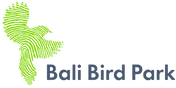 logo-transparent.png