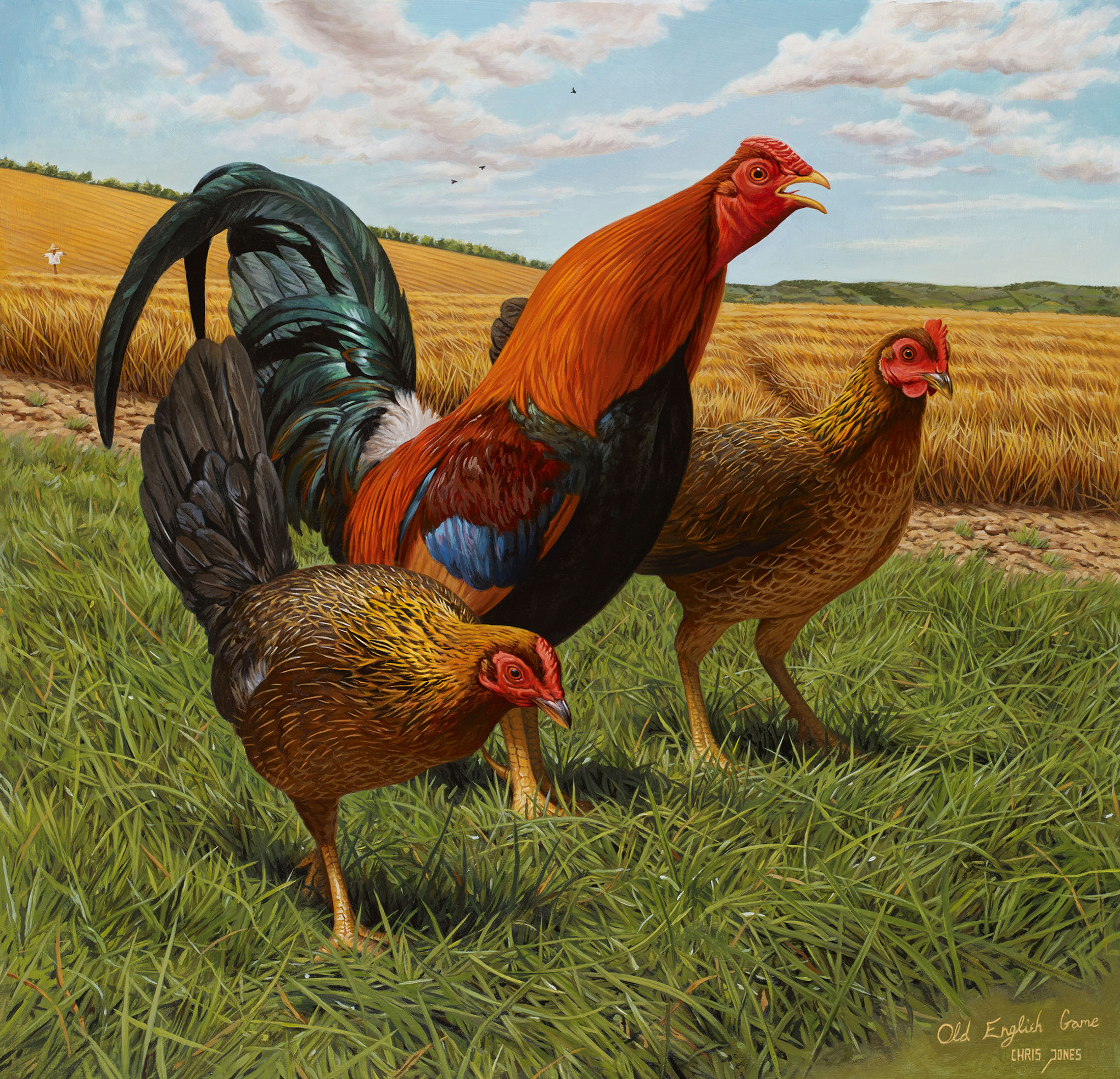 Oxford Old English Game