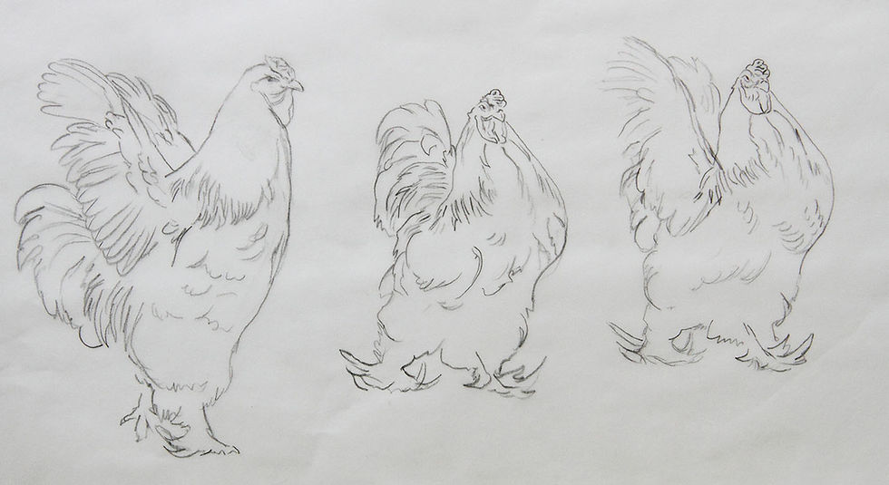 Sketches for The Old Boy