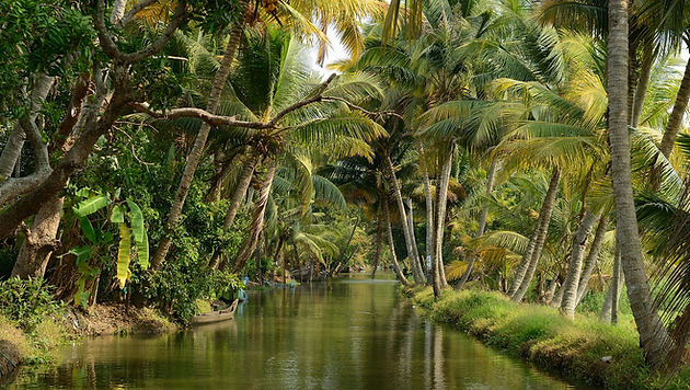 Tropical wellness retreat destination hosted by Yoga Retreats and More