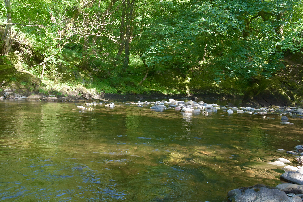 Retreat like it's 1999! 4 Day Digital Detox Retreat in Cumbria