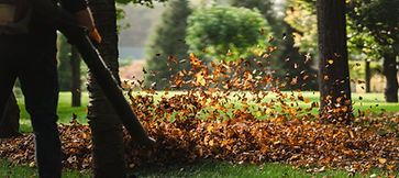 Fall clean up in process with a person blowing leaves and the leaves dancing in the air. 