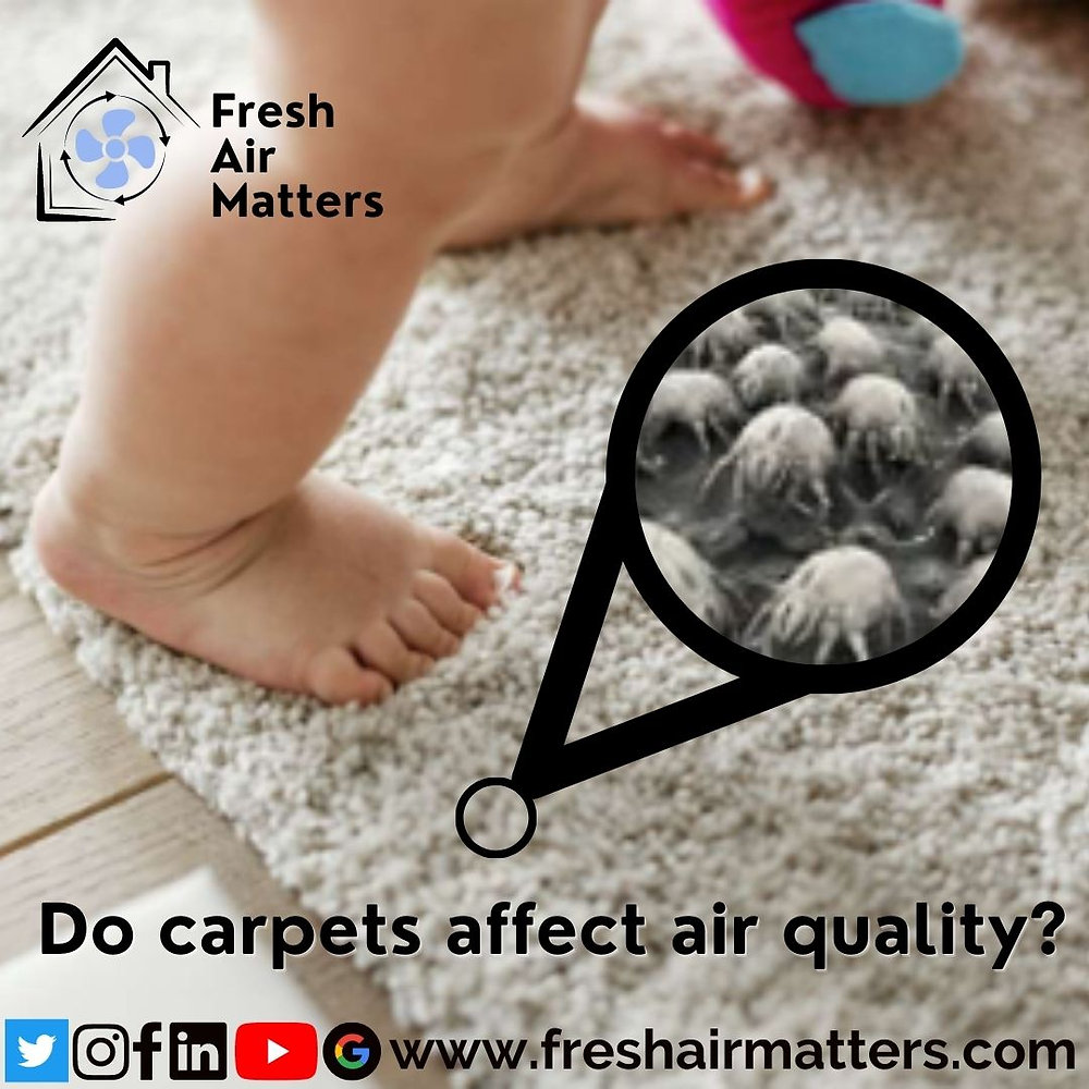 Do Carpets Affect Indoor Air Quality?