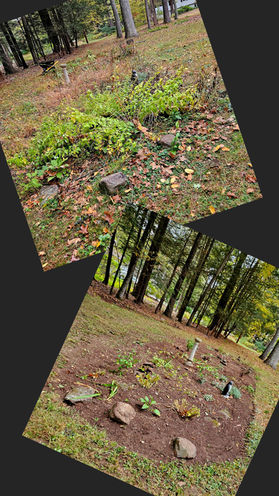 Before and after photo of a garden bed that had been overtaken by lily of the valley.  The after photo shows the bed cleared of invasive plants and weeds and replanted. 