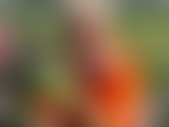 Sarah "Brecks" Breckon TADS walking footballer