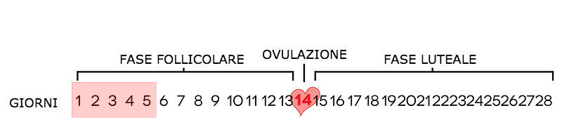 Se Il Concepimento Avviene Poco Prima Del Ciclo
