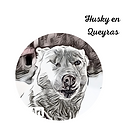 Husky en Queyras.png