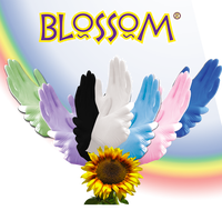 Miniature : GANT NITRILE NON POUDRE BLOSSOM