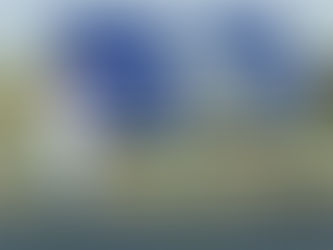 Arábia Saudita não está cumprindo suas ambiciosas metas de energia solar