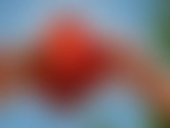 Perovskita: estamos diante da próxima geração de tecnologias de energia solar?