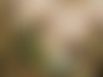 SENCILLEZ DEL FACILITADOR DE LOS POBRES