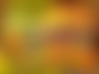 FUNDAMENTOS DE LA ATENCIÓN