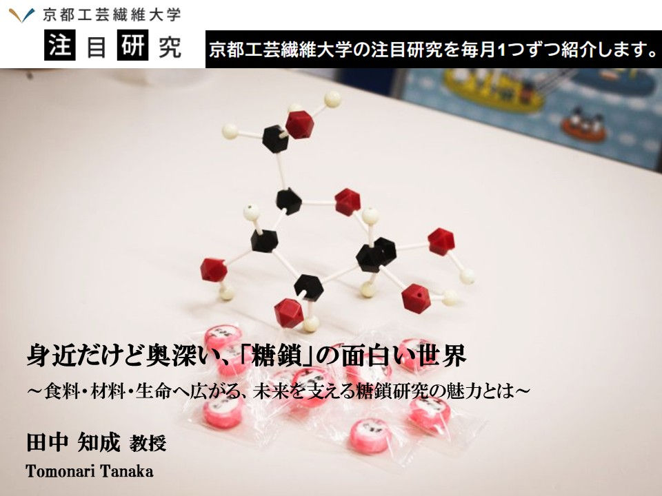 大学HP「注目研究」に記事(前編)が掲載されました