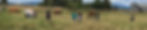 FullSizeRender_edited.jpg