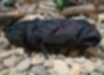 Thumbnail: Seat Bags