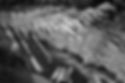 21271E25-17A8-428C-925C-29C11C8DA08C_1_201_a.jpeg