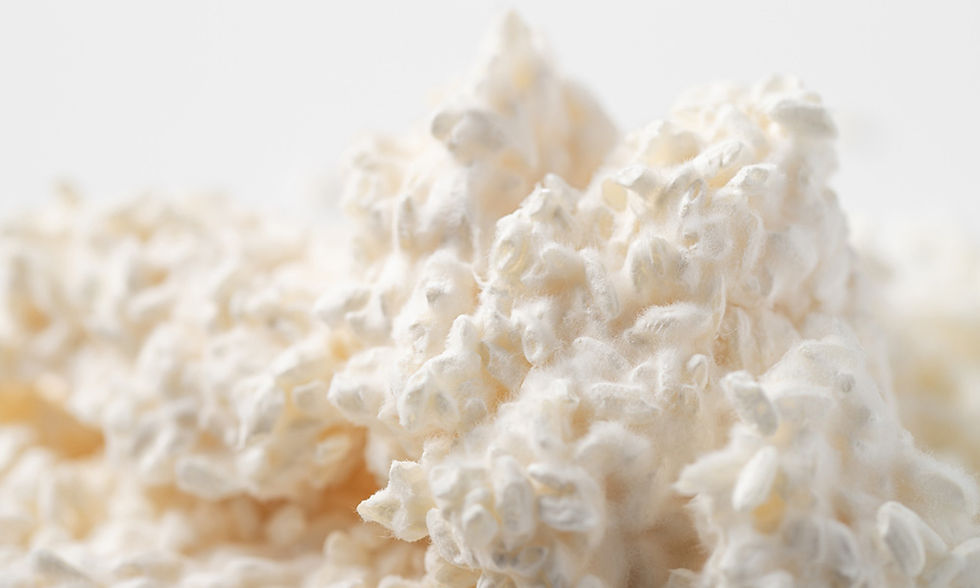 米麹のイメージ画像