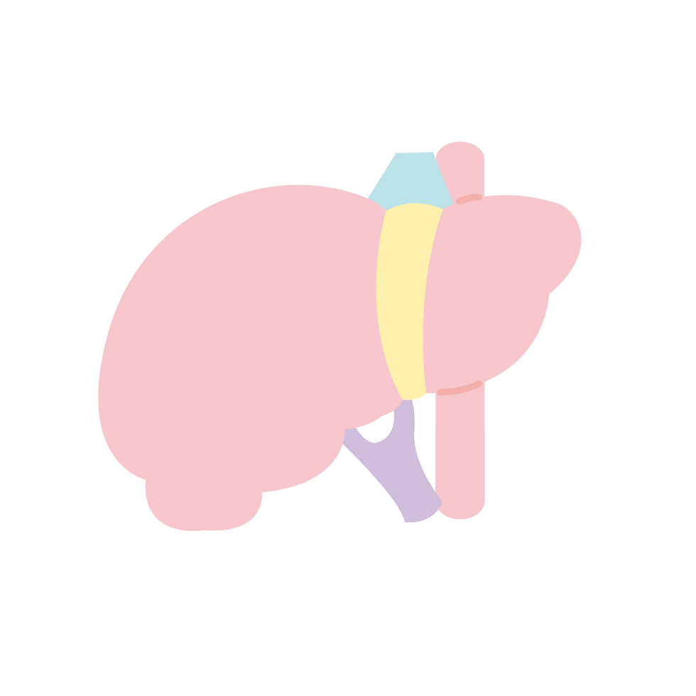 アセット 6_4x.png