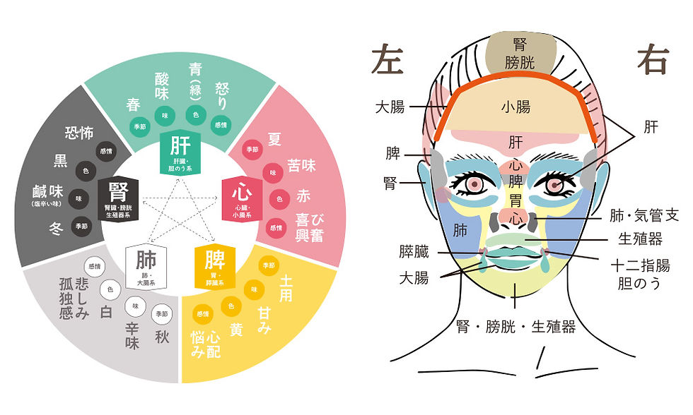 陰陽五行と望診