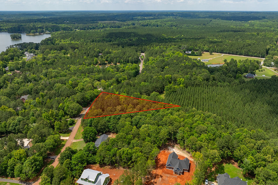 dji_0523 with outline.jpg