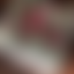 2025年12月7日 週 報