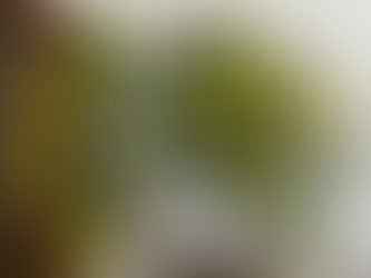 2023年11月12日 週 報