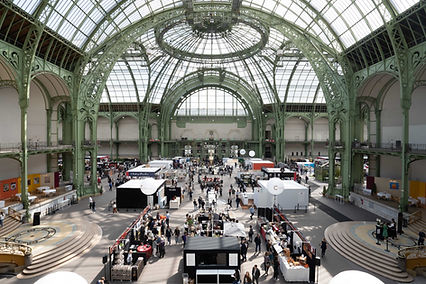 Event at Le Grand Palais, Paris