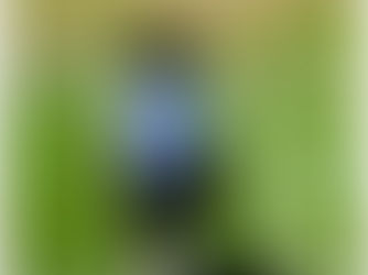 247 Sports: YAA Baltimore Prospects Who's Recruitment Could Rise