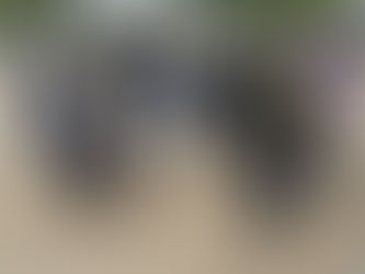 D Day Leadership Academy Summer Programs 2026