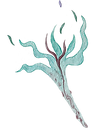 IMG_36681_edited.png