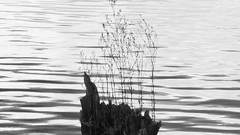 P1040594.png
