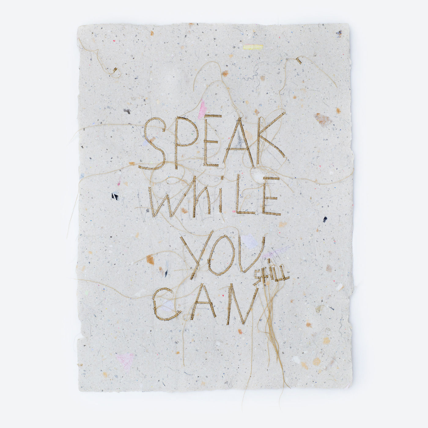 Speak While You Still Can #01