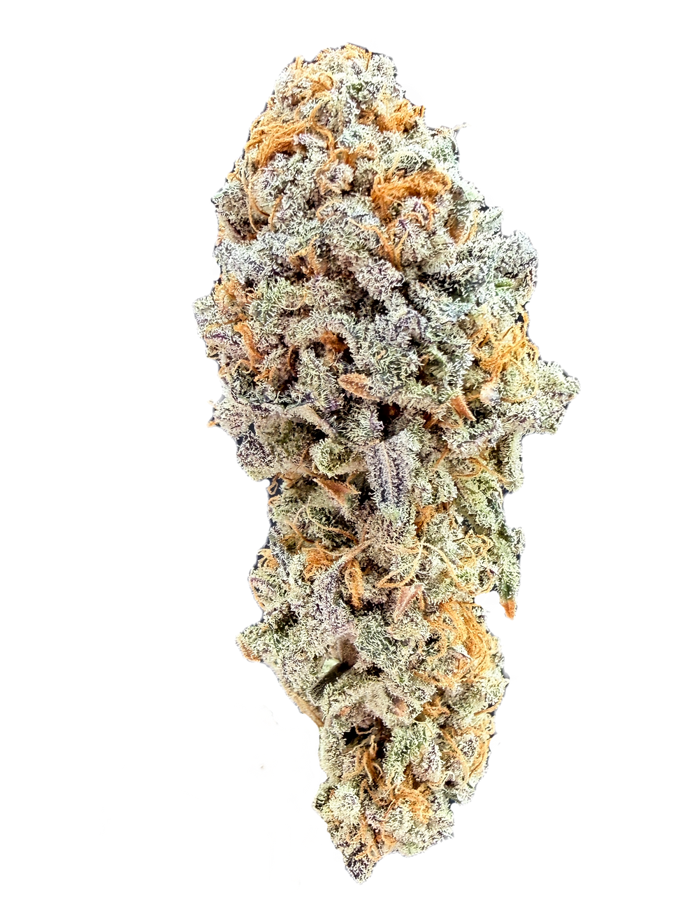 Zoap hybrid cannabis flower, dense rounded bud with vivid orange pistils and generous trichome coverage, Good Trouble KC