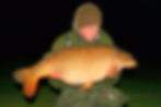 Carp fishing London