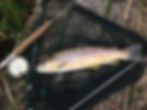 Decent brown from the Anton