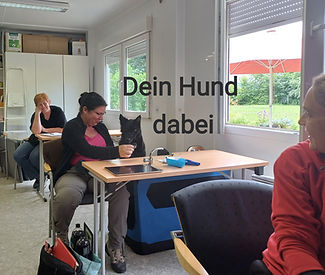 20240623_130856_edited_edited_edited_edi