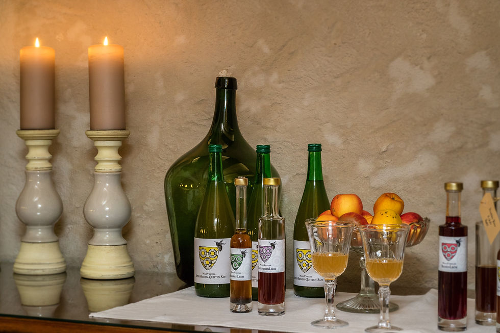 SGLi_Tafel_25_22.jpg