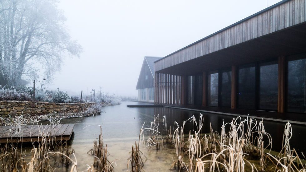SGLi_Nebel_25_65.jpg