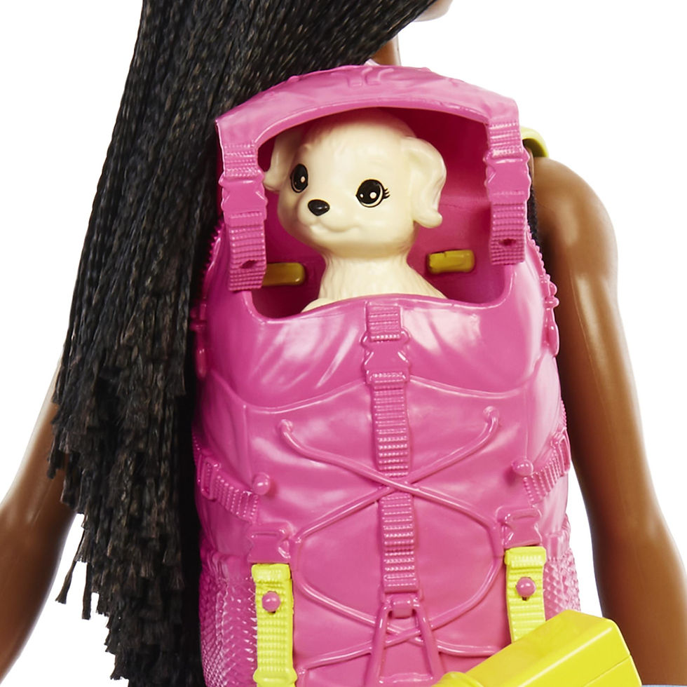 Thumbnail: Barbie Brooklyn Camping HDF72/HDF74