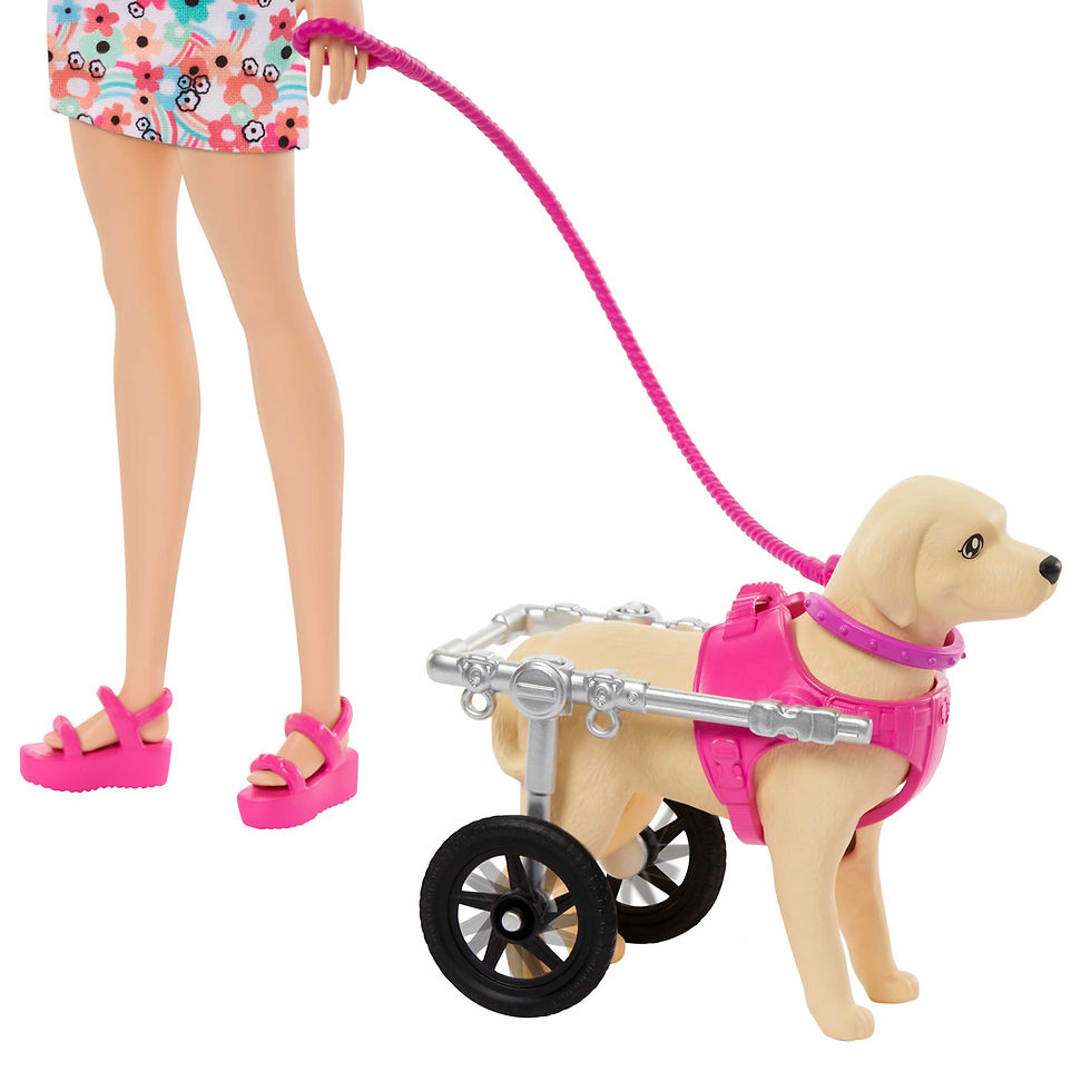 Thumbnail: Barbie Κουταβακια Me Αναπηρικο Αμαξιδιο HTK37