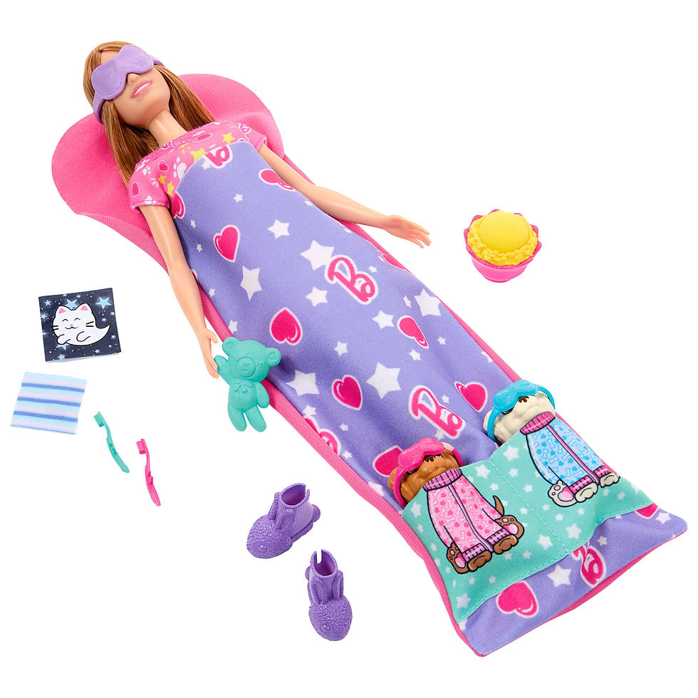 Thumbnail: Barbie Sleepover Με Κουταβακια HXN01