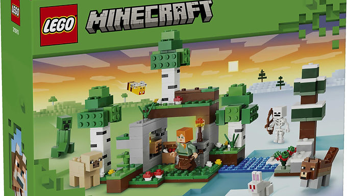 LEGO Minecraft First Night Adventure 21593