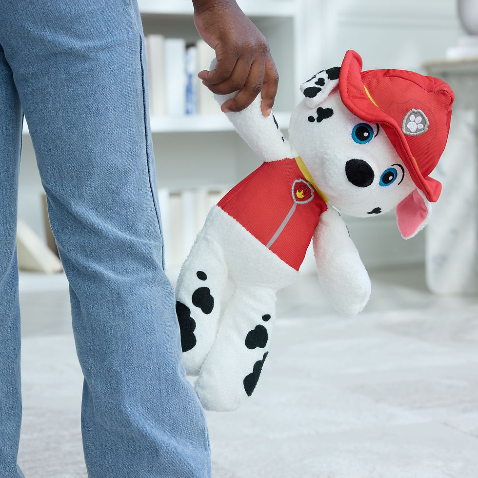 Thumbnail: Spin Master Paw Patrol Marshall Take Along 6071108